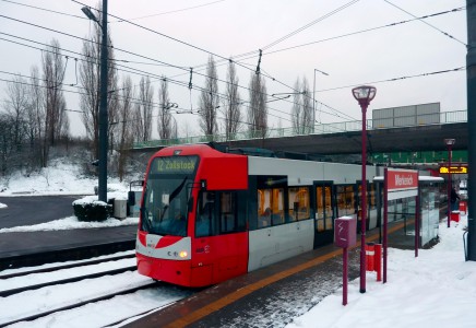 Bus und Bahn fahrscheinfrei